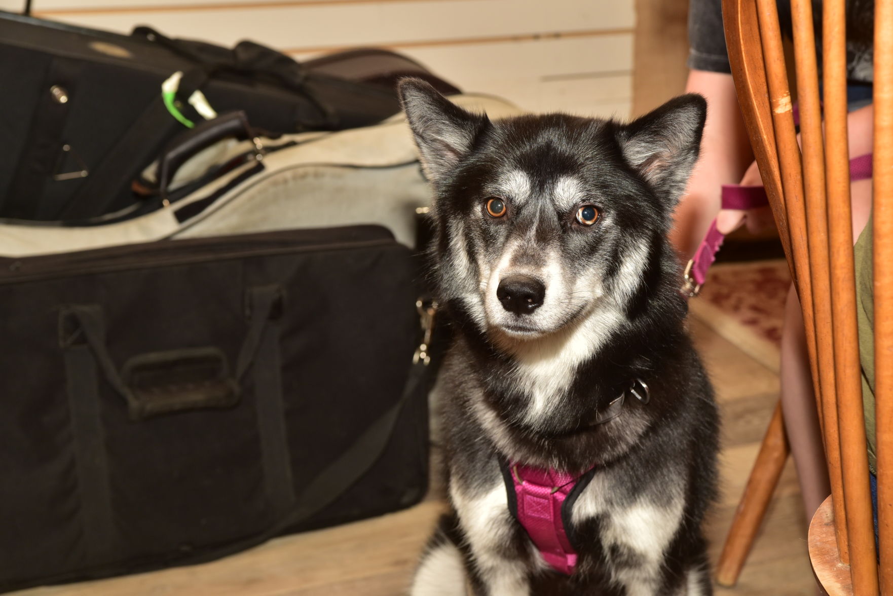 DSC_3513.JPG